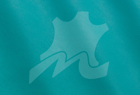 Joy Aquatic MS710018