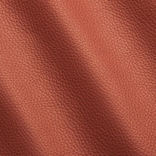 Adria Branch I744229