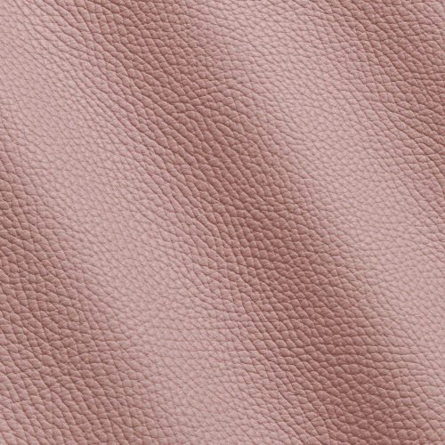 Express Fashion Adria Camelia I651045