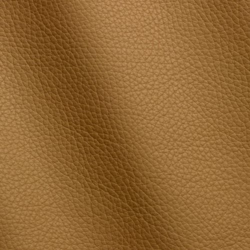 Express Fashion Adria Champagne D22501