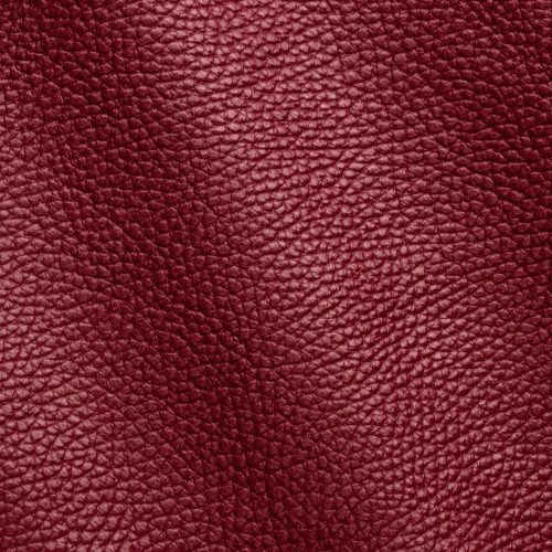 Express Fashion Adria Dahlia D61653