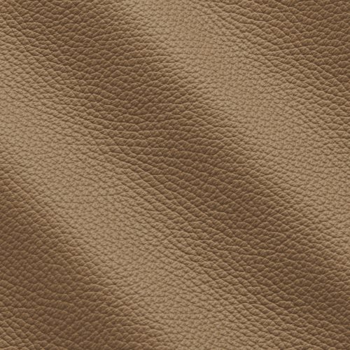 Express Fashion Adria Douglas I744674