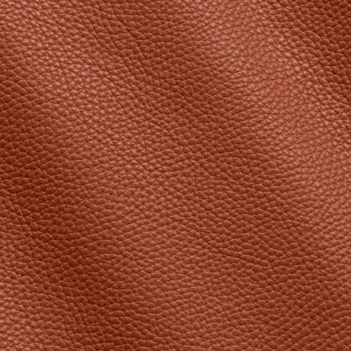 Express Fashion Adria Exuberance I591098
