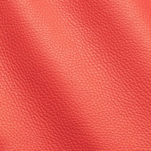 Express Fashion Adria Flirt I622100