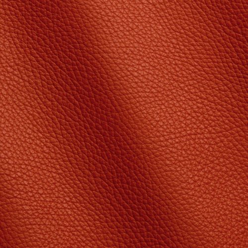Express Fashion Adria Geranio D61269