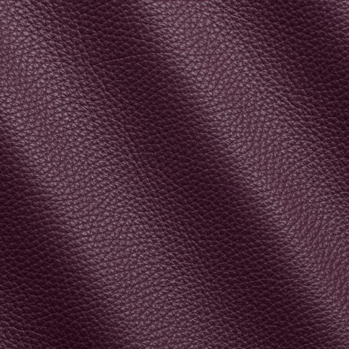 Express Fashion Adria Grape I71883
