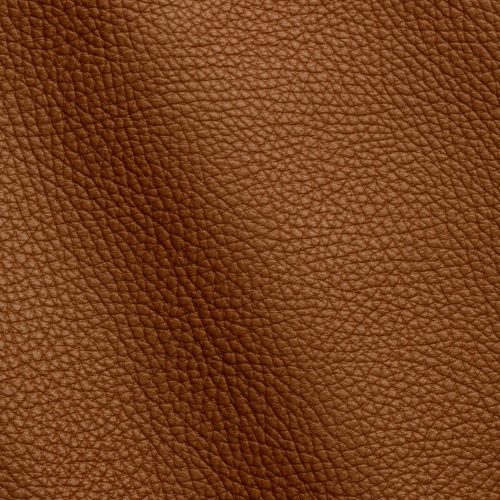 Express Fashion Adria Lion D32634