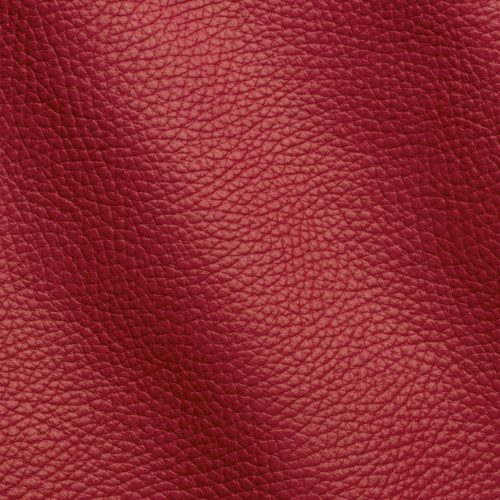Express Fashion Adria Orchidea D61821