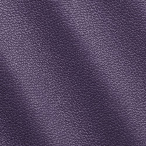Express Fashion Adria Purple I71884