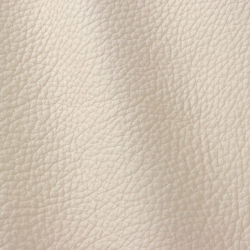 Atlantic Magnolia 524