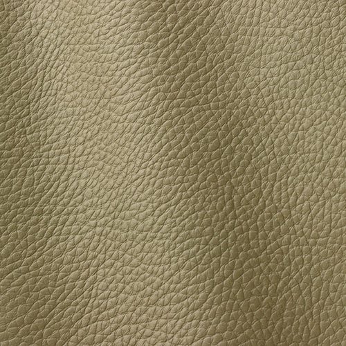 Express Interior & Design Atlantic Olive 546