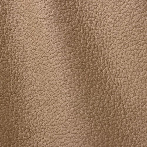 Express Fashion Atlantic Sable 523