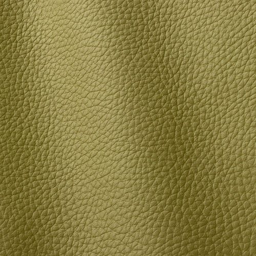 Express Fashion Atlantic Yellow Green 545