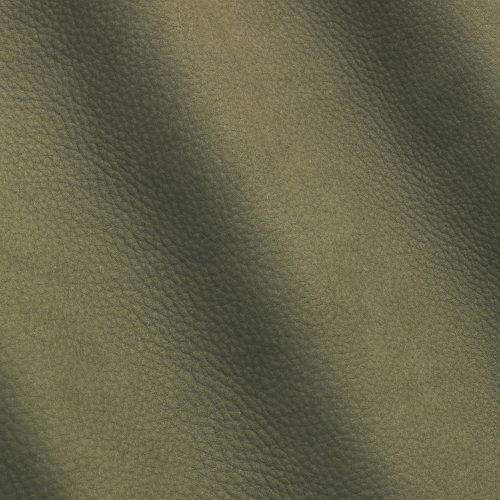 Express Kairos Birch 1725