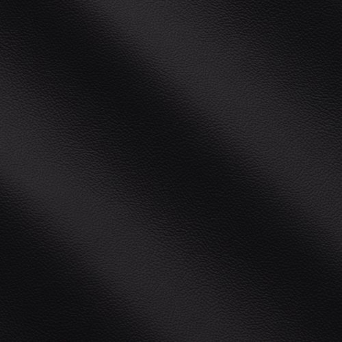 Express Life Black 1829