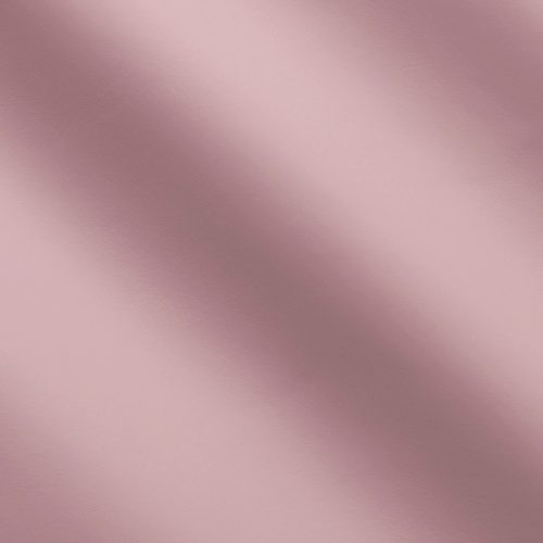 Power Cameo MS310567