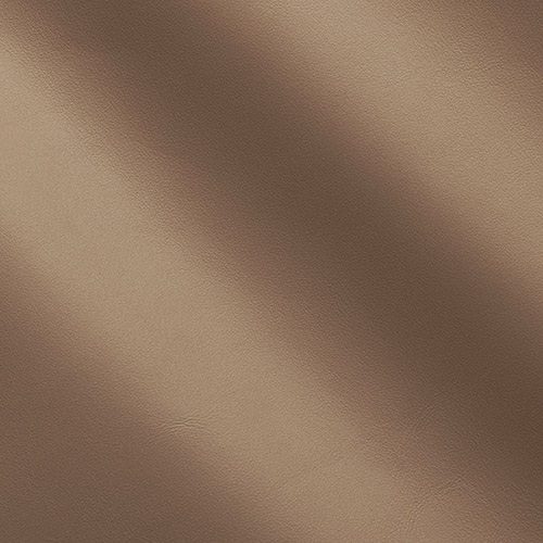 Express Fashion Clary Sepia MS600064