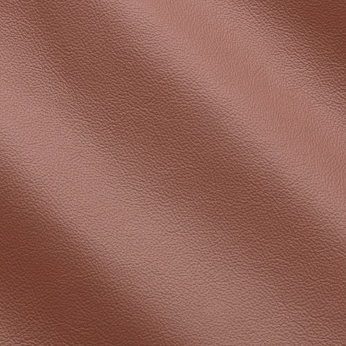 Express Life Clay 1828