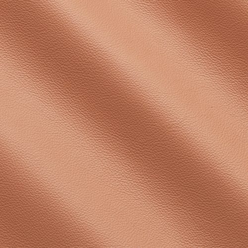 Express Life Coral 1837