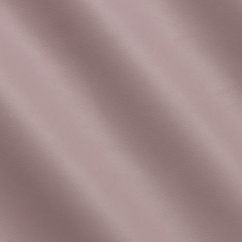 Express Olly Dreamy MS310641