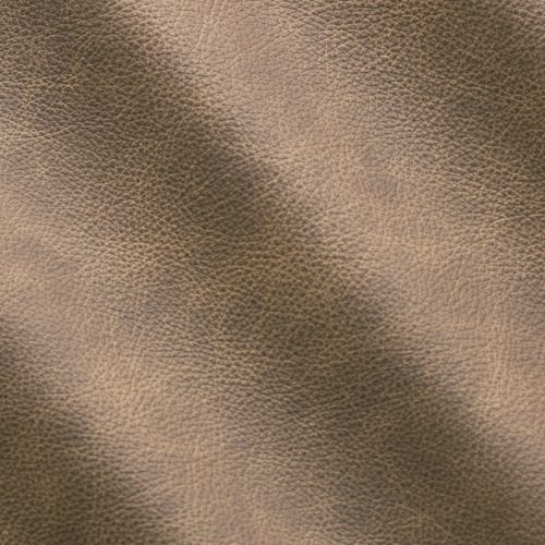 Mistral Earth IC11032