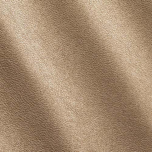 Express Fashion Fay Gold I533200