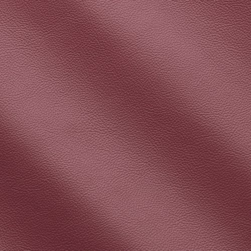 Express Life Garnet 1836
