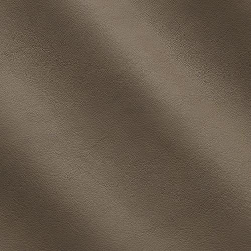 Express Fashion Horus Earth I533179