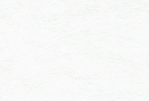 Bycast 100001