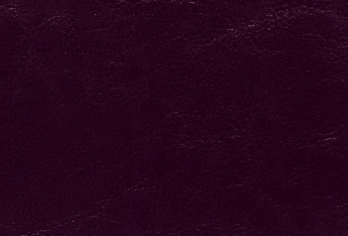 Bycast 910001