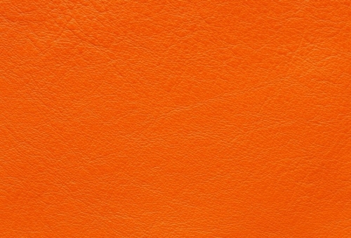 Virtus 61 235