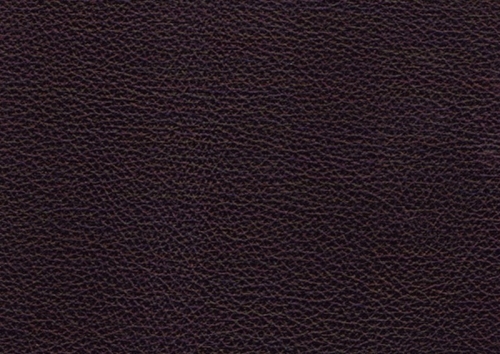 Virtus 32 253