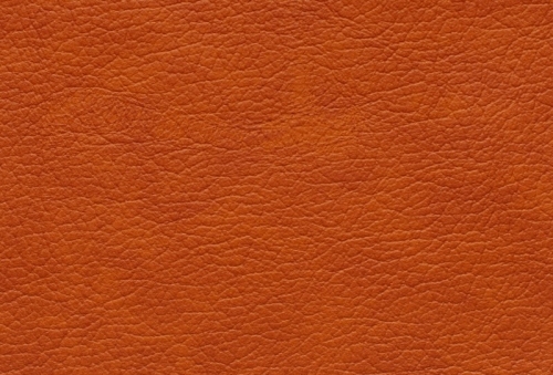 Mondial 13 691