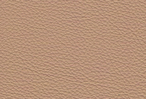 Madras 21620