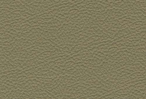 Madras 660