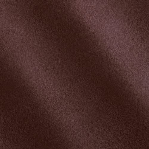 Express Fashion Joy Auburn MS650232