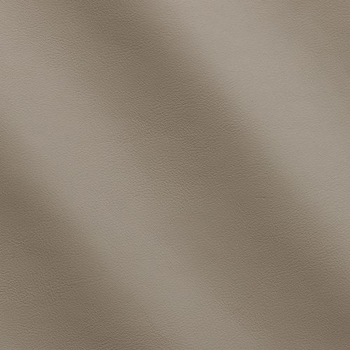 Express Fashion Joy Frost MS120056