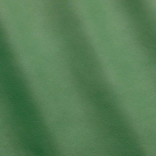 Express Fashion Joy Green Ray MS410040