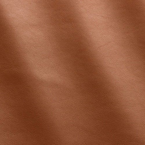 Express Fashion Joy Lion MS640077