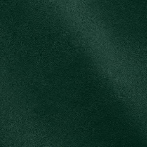 Express Fashion Joy Serpentine MS450021