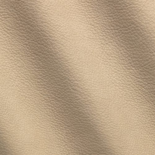 Express Fashion Kairos Cangaroo 1719