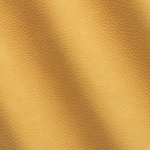 Express Fashion Kairos Duck Bill 1707