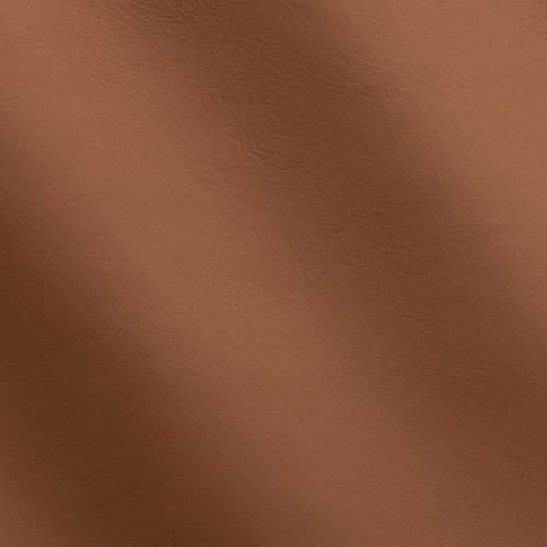 Express Automotive Le Mans Nutcream 1220