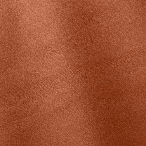 Express Fashion Linea Cotto 656