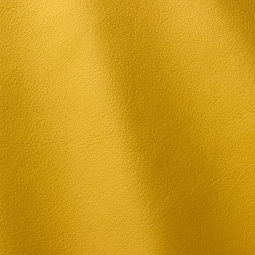 Express Fashion Linea Giallo 620