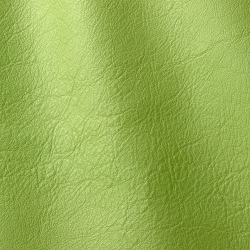 Express Interior & Design Linea Verde 621