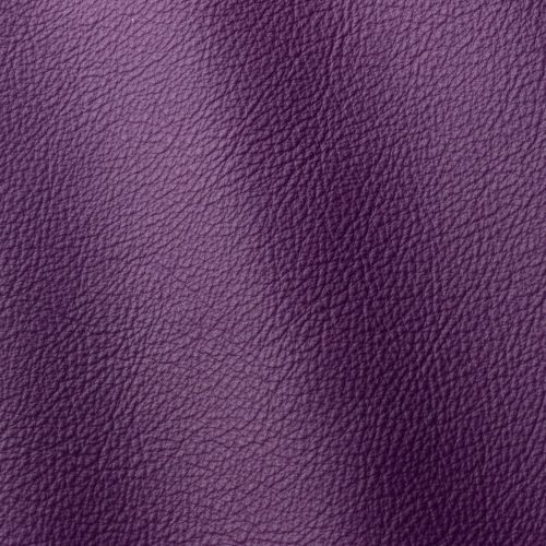 Express Fashion Linea Viola 633