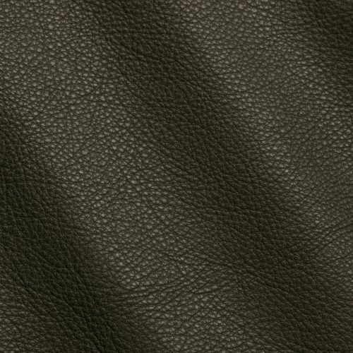 New-york Loden I681335