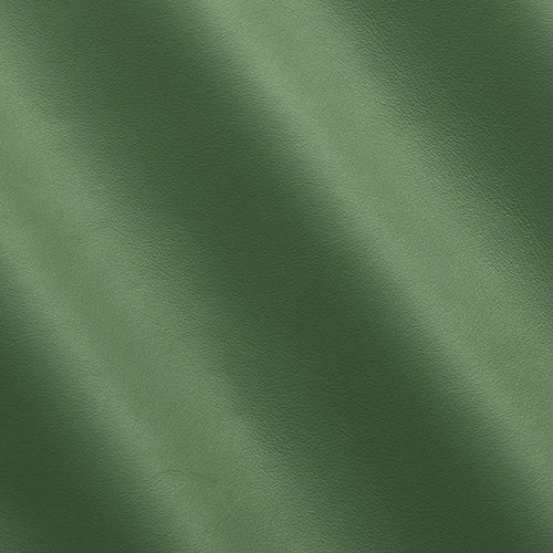 Express Fashion Lush Green Ray MS410040