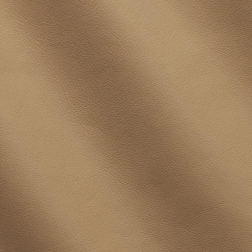 Express Aviation Mercury Caramel C530095